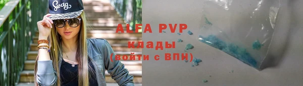 стаф Касимов