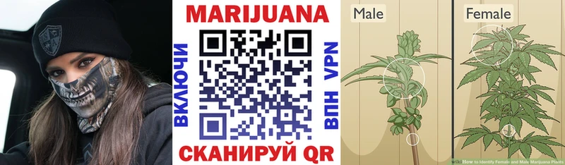 Конопля гибрид  Челябинск 